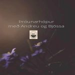 Þróunarhópur Andreu og Bjössa
